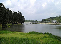 Queen of the Hills 3N/4D