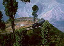 Himalayan Golden Triangle 5N/6D