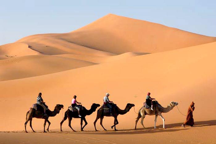 Camel Safari - Rajasthan Tour Package