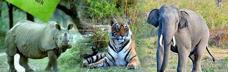 Exotic Rajputana Tour