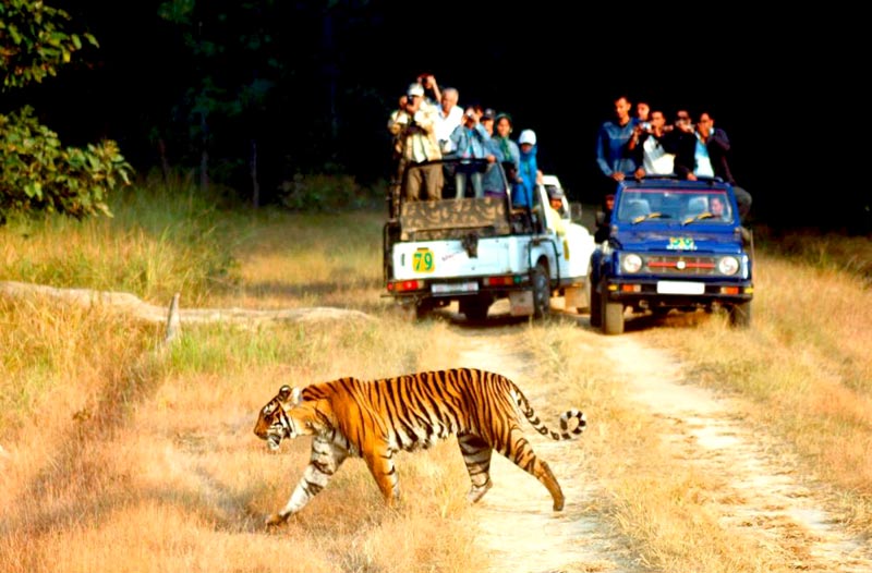 Charming Nainital - Corbett - Mussoorie Tour Package