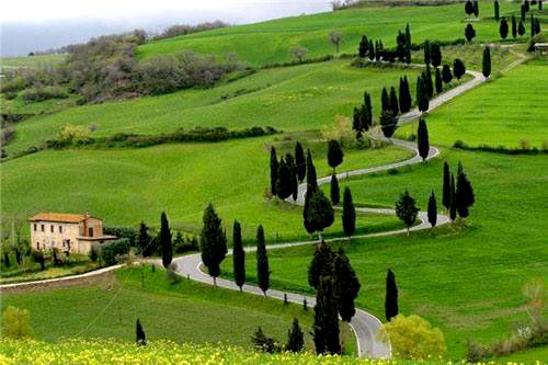 Mysore - Ooty - Coonoor Tour