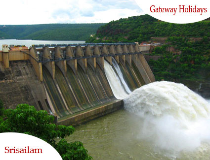 The Divine Heritage Tour