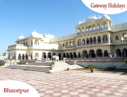 Golden Triangle with Wildlife India Tour