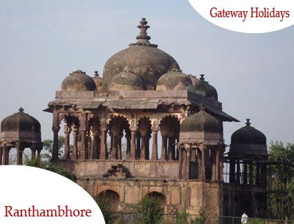 Golden Triangle with Wildlife India Tour