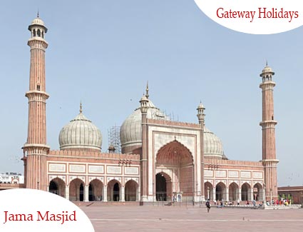 Golden Triangle with Wildlife India Tour