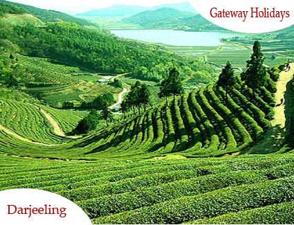 Darjeeling Tours