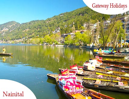 Valleys of Kashmir Tour