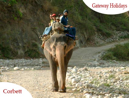 Valleys of Kashmir Tour