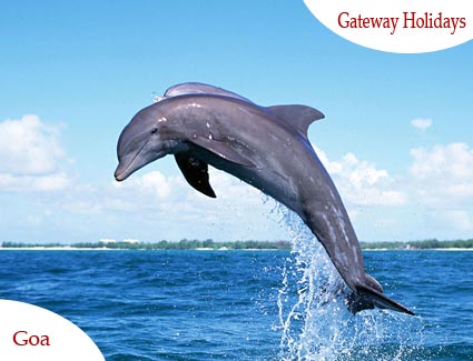 Goa Tour Package