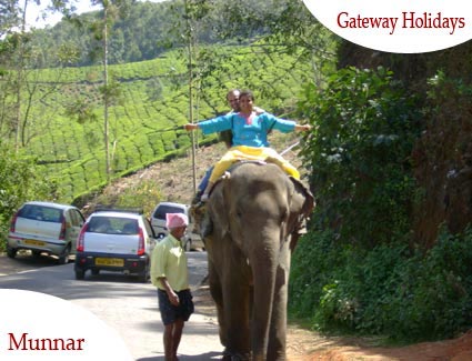 Exotic Goa with Munnar Tour Package