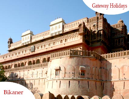 Camel Safari - Rajasthan Tour Package