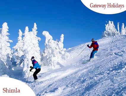 Shimla - Manali - Chandigarh -  Delhi Honeymoon Tour Package