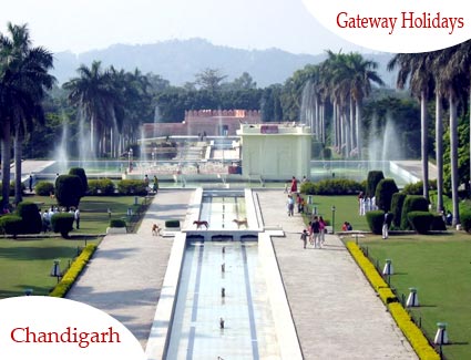 Shimla - Manali - Chandigarh -  Delhi Honeymoon Tour Package