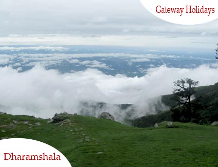 Shimla - Manali - Dharamshala - Dalhousiee - Chandigarh Honeymoon Tour