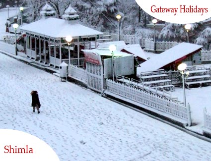 Shimla - Manali - Dharamshala - Dalhousiee - Chandigarh Honeymoon Tour