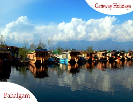 Blissful Srinagar Honeymoon Tour Package
