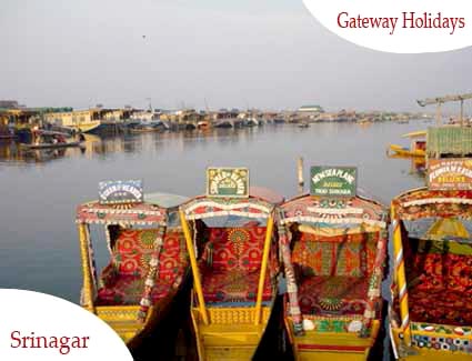 Blissful Srinagar Honeymoon Tour Package