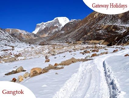 Scenic Gangtok - Kalimpong - Darjeeling Tour