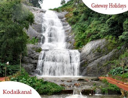 The Green Miracle - Ooty Tour Package