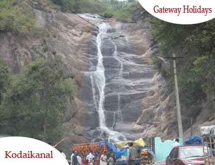 The Green Miracle - Ooty Tour Package