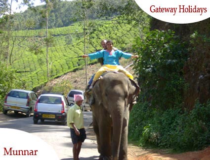 The Green Miracle - Ooty Tour Package