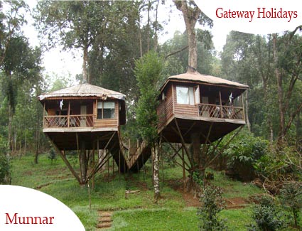 The Green Miracle - Ooty Tour Package