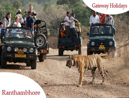 Indian Heritage Tour with Wildlife