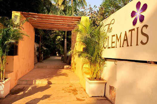 The Clematis(4*) Candolim Goa Package