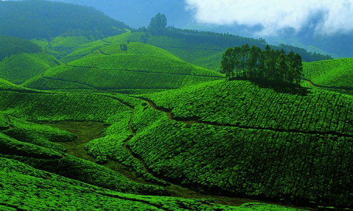 4 Days Kerala Tour Packages