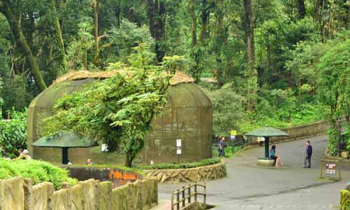 Darjeeling Kalimpong Tour Package