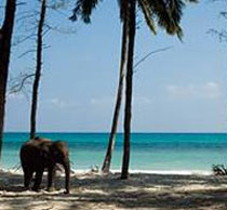 Special Honeymoon Tour In Andaman