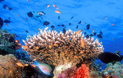 Family Holiday in Andaman Tour