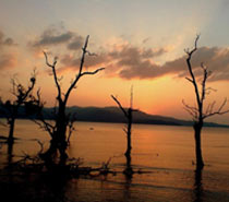 Amazing Andaman Tour with Family