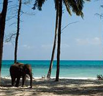 Amazing Andaman Tour with Family