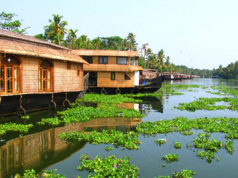 Kerala Honeymoon Ex Cochin Package 6 Nights 7 Days