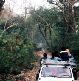 Corbett Honeymoon Package