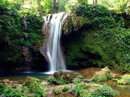 Corbett Honeymoon Package