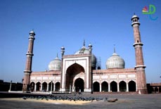 Call Of The Jungle Tour