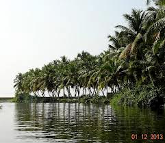 Best Of South Kerala Tour