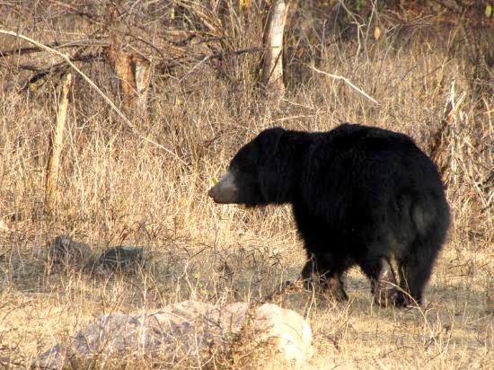 Indian Wilderness Tour