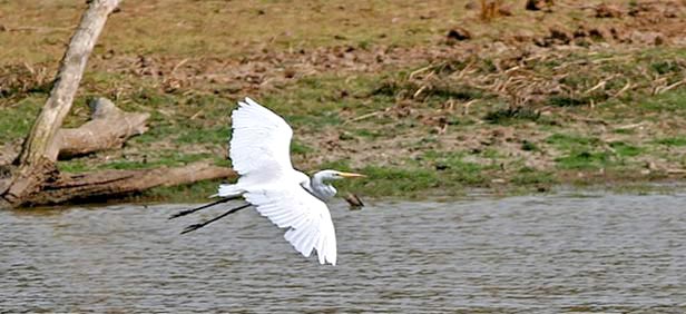 Indian Wilderness Tour