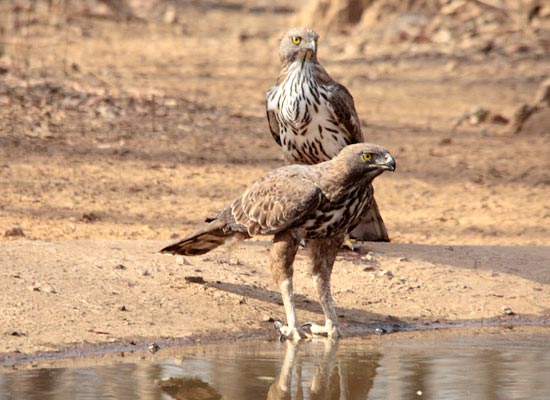 Indian Wilderness Tour