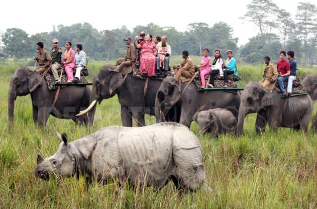 Indian Wilderness Tour