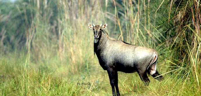 Indian Wilderness Tour