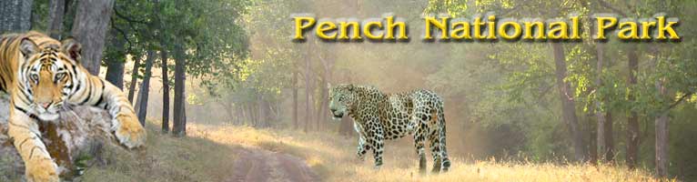 Adventurous Indian wildlife Tour