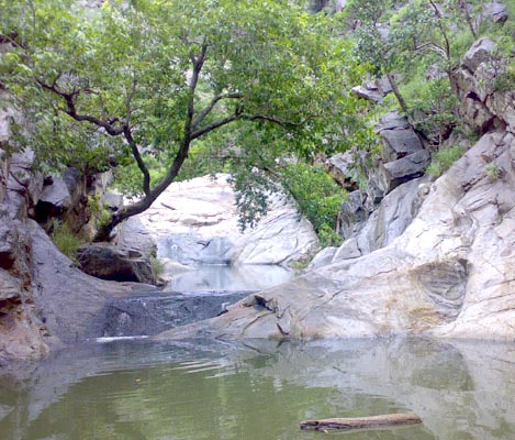 Sariska National Park Tour