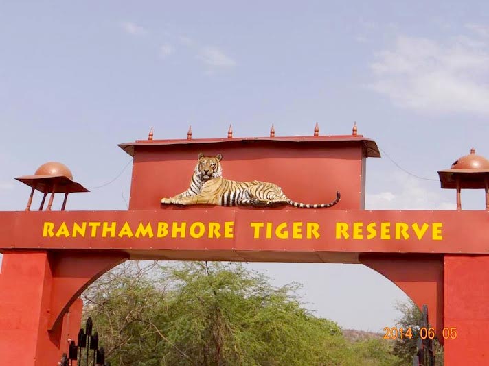 Sariska National Park Tour