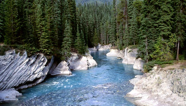 Jammu & Kashmir package