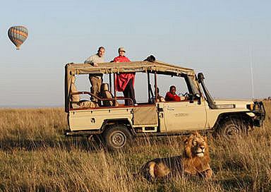 8 Days Tanzania Safari Arusha-L.Manyara-Ngorongoro-Serengetti Tour